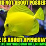 CORAL PROPAGATION | LOVE IS NOT ABOUT POSSESSION; LOVE IS ABOUT APPRECIATION; ELECTRIFYING CORAL REEF DREAMS | image tagged in coral propagation | made w/ Imgflip meme maker