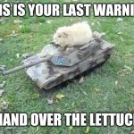 Guinea pig tank | THIS IS YOUR LAST WARNING; HAND OVER THE LETTUCE | image tagged in guinea pig tank,memes,funny,guinea pig,guinea pigs | made w/ Imgflip meme maker