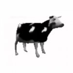 Dancing Polish Cow GIF Template