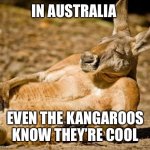 Peter Rabbit ain’t got nothing on me | IN AUSTRALIA; EVEN THE KANGAROOS KNOW THEY’RE COOL | image tagged in chillin kangaroo | made w/ Imgflip meme maker