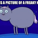 Adventure Time Tripping Meme | THIS IS A PICTURE OF A FREAKY HORSE | image tagged in adventure time tripping meme | made w/ Imgflip meme maker