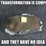 Baked potato Guinea pig | THE TRANSFORMATION IS COMPLETE; AND THEY HAVE NO IDEA | image tagged in baked potato guinea pig | made w/ Imgflip meme maker