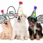 happy birthday puppies | I AM TURNING FIVE; AT LEAST IT'S BIGGER THAN YOUR IQ; HAPPY BIRTHDAY | image tagged in happy birthday puppies | made w/ Imgflip meme maker