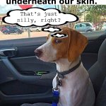 Dogs do like to lick bones before chewing on them. | I think dogs lick us so 
much because they
 know we have bones 
underneath our skin. That's just silly, right? | image tagged in car dog,bones,chewing,licking | made w/ Imgflip meme maker