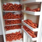 Carrot fridge