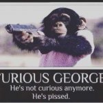 Furious George meme
