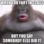 Le Monke | WHEN YOU FART IN CLASS; BUT YOU SAY SOMEBODY ELSE DID IT | image tagged in le monke | made w/ Imgflip meme maker