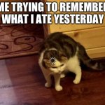Loading Cat HD | ME TRYING TO REMEMBER WHAT I ATE YESTERDAY | image tagged in loading cat hd | made w/ Imgflip meme maker