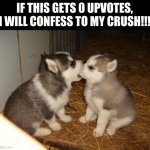 Cute Puppies Meme | IF THIS GETS 0 UPVOTES, I WILL CONFESS TO MY CRUSH!!! | image tagged in memes,cute puppies | made w/ Imgflip meme maker