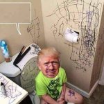 Trump baby infant loser cry toilet meme