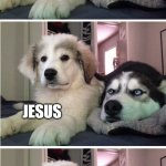 Knock Knock Dogs | KNOCK KNOCK; WHOSE THERE? JESUS; JESUS WHO? HOW MANY DO YOU KNOW? | image tagged in knock knock dogs | made w/ Imgflip meme maker