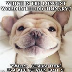 Daily Bad Dad Joke November 17 2020 | WHICH IS THE LONGEST WORD IN THE DICTIONARY? "SMILES", BECAUSE THERE IS A MILE BETWEEN EACH 'S' | image tagged in smiling puppy | made w/ Imgflip meme maker