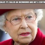 metric system | WHEN YOU REALIZE ITS CALLED AN INCHWORM AND NOT A CENTIMETERWORM | image tagged in angry queen elizabeth | made w/ Imgflip meme maker