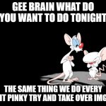 Pinky And The Brain | GEE BRAIN WHAT DO YOU WANT TO DO TONIGHT; THE SAME THING WE DO EVERY NIGHT PINKY TRY AND TAKE OVER IMGFLIP | image tagged in pinky and the brain,memes | made w/ Imgflip meme maker