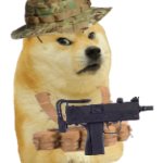 G.D.F DOge Mercenary