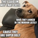 listen to the dog | THEY SAID IM NOT THAT CUTE; HAVE THEY LOOKED IN THE MIRROR LATELY; CAUSE THEY ARE SUPER UGLY | image tagged in expressive dog | made w/ Imgflip meme maker