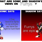 I agree with sonic | Furrys; Furrys are epic; If they have the rights to be animals we have the right to hunt them | image tagged in sonic and shadow s views on | made w/ Imgflip meme maker