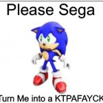 Please sega, don't turn me into a ktpafaycktpaf | Don't Turn Me into a KTPAFAYCKTPAF! | image tagged in please sega | made w/ Imgflip meme maker