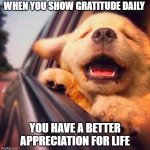 Gratitude | WHEN YOU SHOW GRATITUDE DAILY; YOU HAVE A BETTER APPRECIATION FOR LIFE | image tagged in happy puppy | made w/ Imgflip meme maker