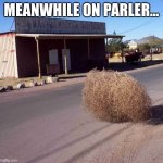tumbleweed | MEANWHILE ON PARLER... | image tagged in tumbleweed | made w/ Imgflip meme maker