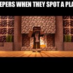 I see a problem with my life | CREEPERS WHEN THEY SPOT A PLAYER | image tagged in i see a problem with my life | made w/ Imgflip meme maker
