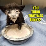 Don't Laugh | YOU THINK THAT WAS FUNNY? | image tagged in in it now,dont judge me,funny cat memes,grumpy cat not amused,wtf cat | made w/ Imgflip meme maker