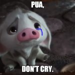 "Goodbye Pua" Love, Moana | PUA, DON'T CRY. | image tagged in sad pua | made w/ Imgflip meme maker