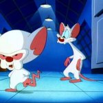 pinky and the brain monday | image tagged in pinky and the brain monday | made w/ Imgflip meme maker
