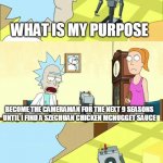 What's My Purpose - Butter Robot | WHAT IS MY PURPOSE; BECOME THE CAMERAMAN FOR THE NEXT 9 SEASONS UNTIL I FIND A SZECHUAN CHICKEN MCNUGGET SAUCE; OH MY GOD | image tagged in what's my purpose - butter robot | made w/ Imgflip meme maker