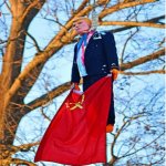Trump hanging, Soviet Flag