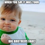 little lies | WHEN YOU SAY IT WAS YOUR BIG BROTHERS FAULT | image tagged in baby fist pump | made w/ Imgflip meme maker