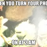 LoL. A person told me to do this in the comments.? | WHEN YOU TURN YOUR PHONE; ON AT 2 AM | image tagged in holly gobo | made w/ Imgflip meme maker