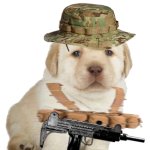 GDF Queires Mercenary