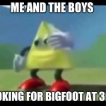 me and the boys | ME AND THE BOYS; LOOKING FOR BIGFOOT AT 3 AM | image tagged in dancing triangle | made w/ Imgflip meme maker