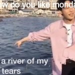 this is a river of my tears | how do you like mondays | image tagged in this is a river of my tears | made w/ Imgflip meme maker