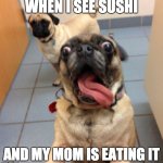 pug that smells something | WHEN I SEE SUSHI; AND MY MOM IS EATING IT | image tagged in pug that smells something | made w/ Imgflip meme maker