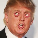 Trump eternal whining victim