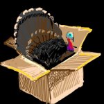 Turkey in a Box