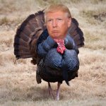 Trump, the White House Turkey