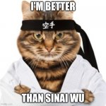 Karate cat | I'M BETTER; THAN SINAI WU | image tagged in karate cat | made w/ Imgflip meme maker