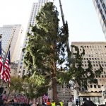 Rockefeller Christmas tree