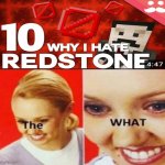 The WHAT | image tagged in the what | made w/ Imgflip meme maker