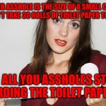 Butthurt bad?,,, | YOUR ASSHOLE IS THE SIZE OF A SMALL COIN IT DOESN’T TAKE 30 ROLLS OF TOILET PAPER TO WIPE IT; SO ALL YOU ASSHOLES STOP  HOARDING THE TOILET PAPER 🧻 | image tagged in butthurt bad | made w/ Imgflip meme maker