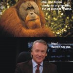 Orangutan - Bill Maher