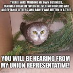 Rockafeller Owl | THERE I WAS, MINDING MY OWN BUSINESS, TAKING A BREAK BETWEEN DELIVERING HOWLERS AND ACCEPTANCE LETTERS, AND BAM! I WAS NETTED IN A TREE. YOU WILL BE HEARING FROM MY UNION REPRESENTATIVE! | image tagged in rockafeller owl | made w/ Imgflip meme maker