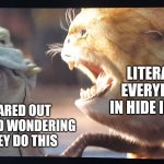 Why o why | LITERALLY EVERYBODY IN HIDE IN SEEK; ME SCARED OUT OF MY MIND WONDERING WHY THEY DO THIS | image tagged in baby yoda and kitty | made w/ Imgflip meme maker
