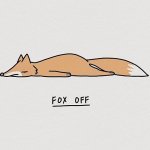 Fox off