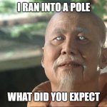I ran into something | I RAN INTO A POLE; WHAT DID YOU EXPECT | image tagged in kung fu po | made w/ Imgflip meme maker