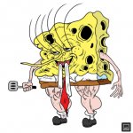Sponge Nasty
