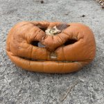Old Man Pumpkin